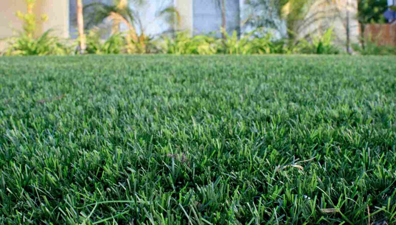 Pasto Sintético de 30 mm de ArteGrass